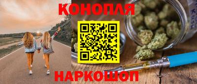 гашик Будённовск