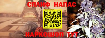 гашик Будённовск