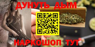 гашик Будённовск