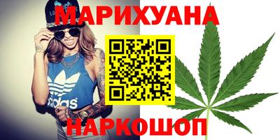 гашик Будённовск