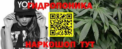 гашик Будённовск