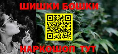 гашик Будённовск
