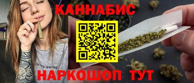 гашик Будённовск