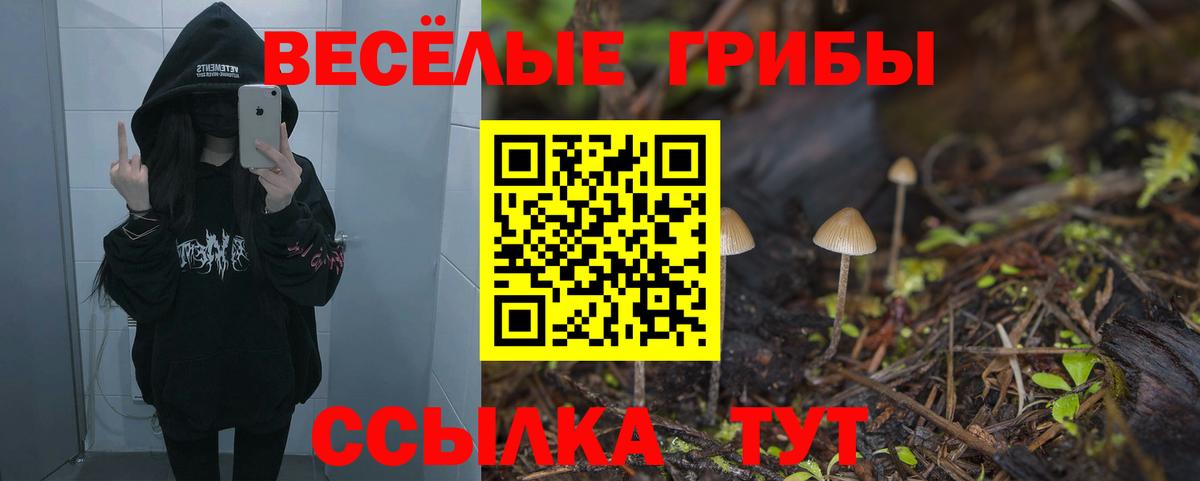 Псилоцибиновые грибы GOLDEN TEACHER  Вход с VPN  Корсаков 